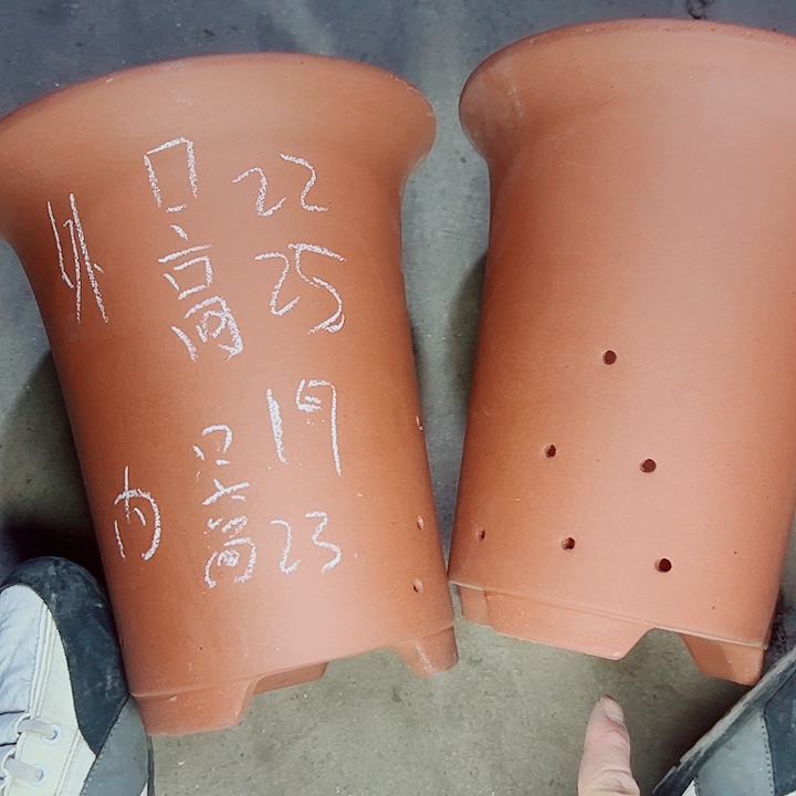 红陶紫砂紫砂紫砂