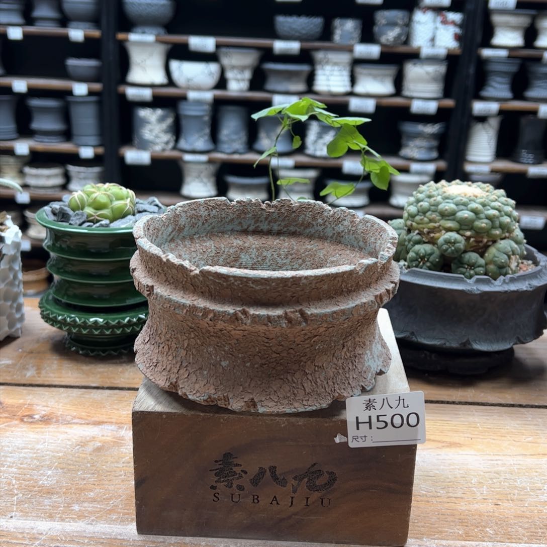 素八九陶瓷内口13.5高8.5