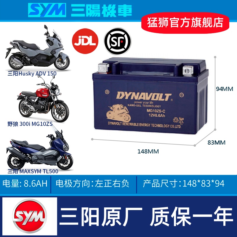 SYM三阳巡弋CRUISYM300 T1 T2 Z300九妹GTS300i MAXSYM 400 电瓶