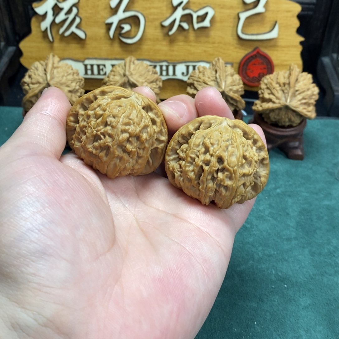 文玩核桃把件白狮子4全品