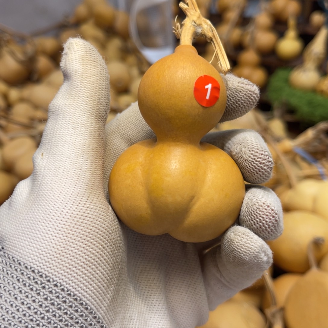 闪拍葫芦链接-1号品