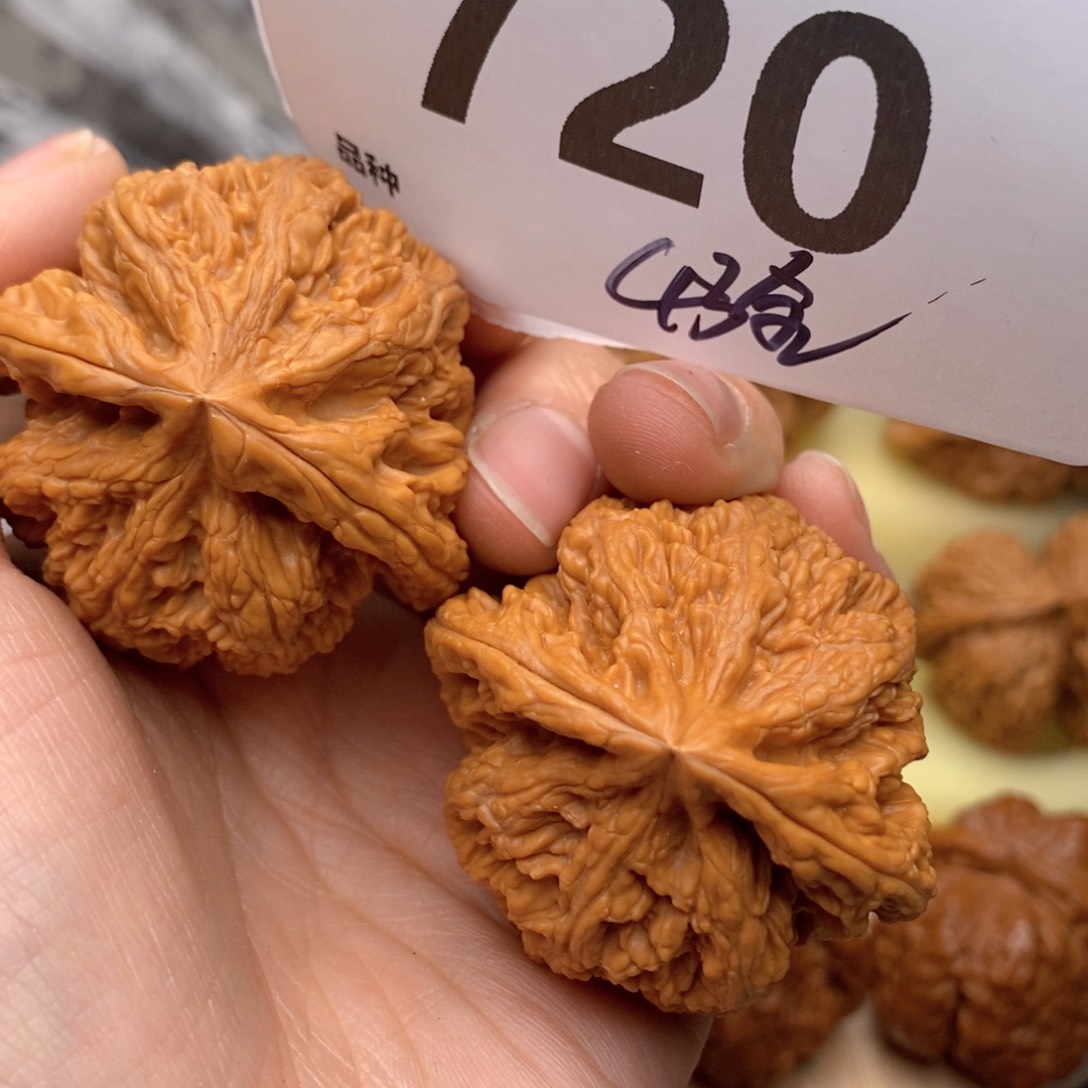 文玩核桃吊坠720号43全粗筋