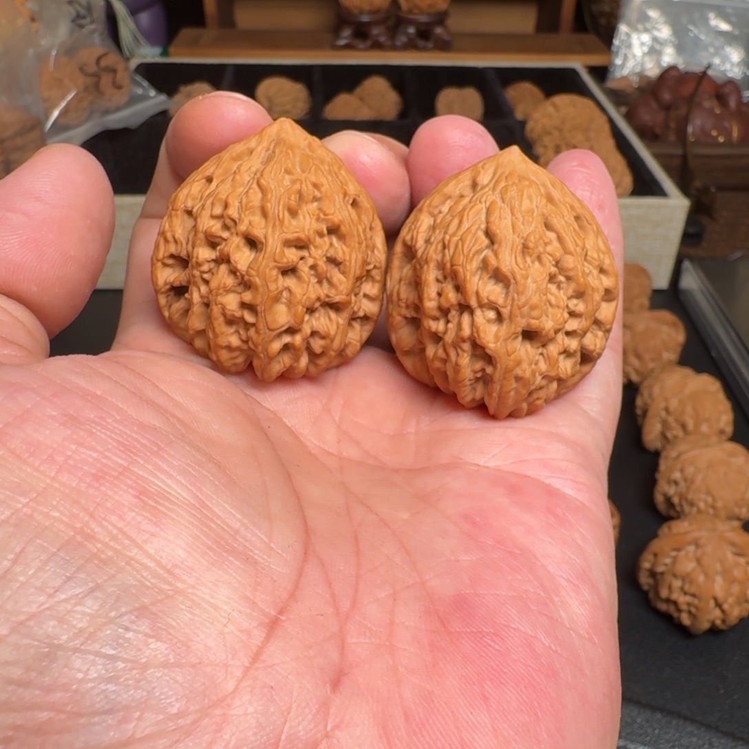 把件文玩核桃全品水龙纹 尺寸37