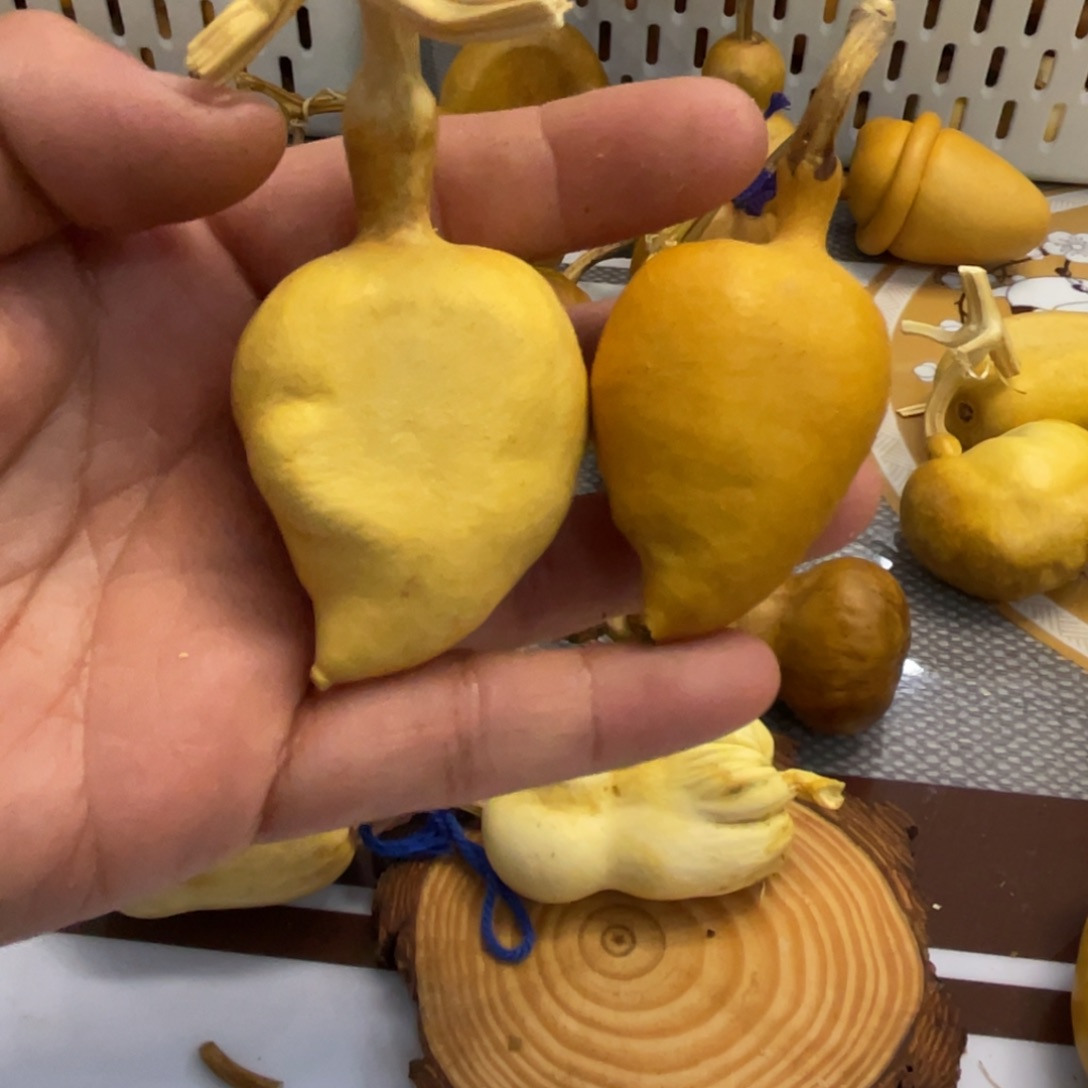 >***ಣ葫芦哈哈哈哈哈哈哈哈吧