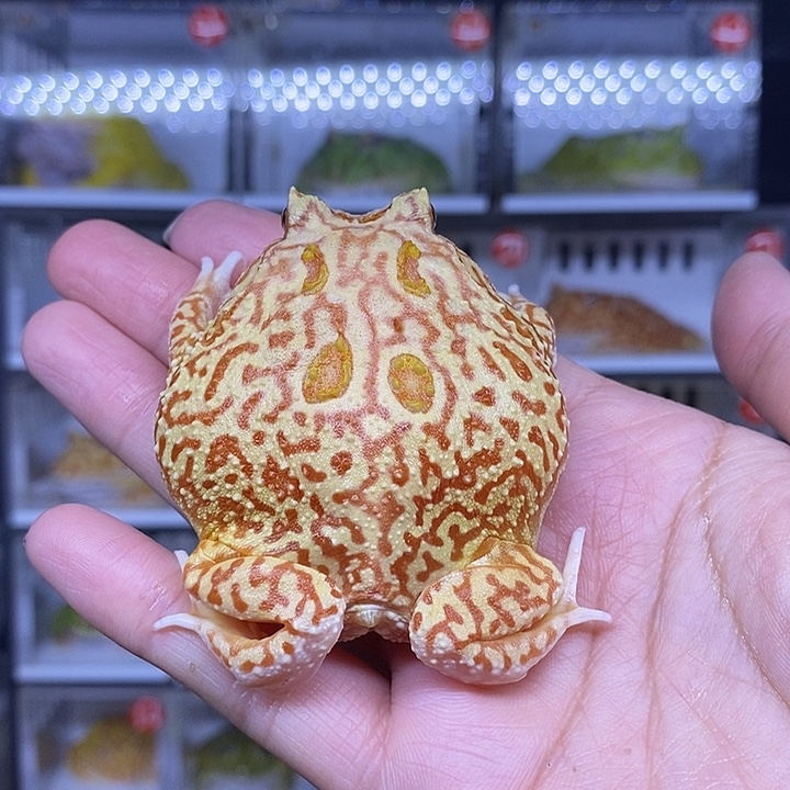 特价秒杀现货供应
