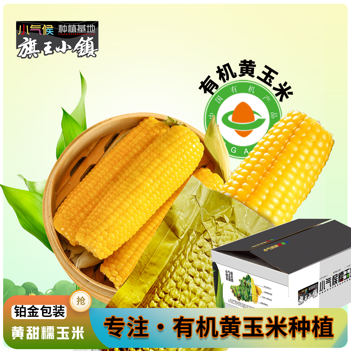 【东北头茬金箔黄糯玉米】（试吃两根）精选黄甜糯玉米大棒*10根
