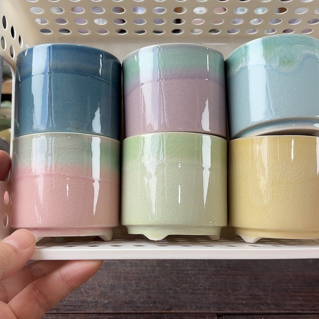 陶瓷量货/口6.5高深浅搭配发6个