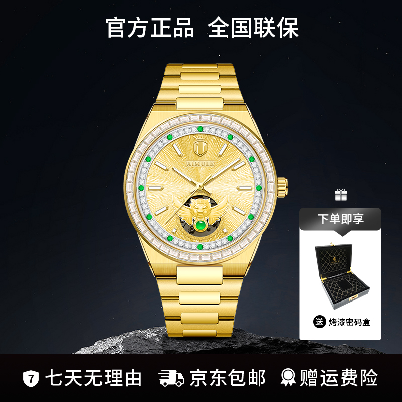 【如虎添翼系列】全球限量发行666枚男士机械手表TZ-A5858-DB-Y