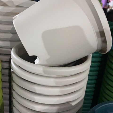 树脂四季3号灰白无托20个微瑕