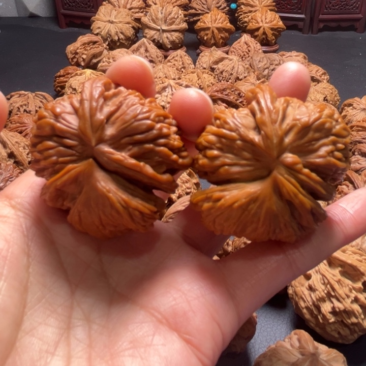 白狮子推土机41尺寸核桃哈哈哈哈哈哈