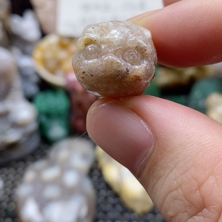 硅化珊瑚（珊瑚玉）颈饰未镶嵌