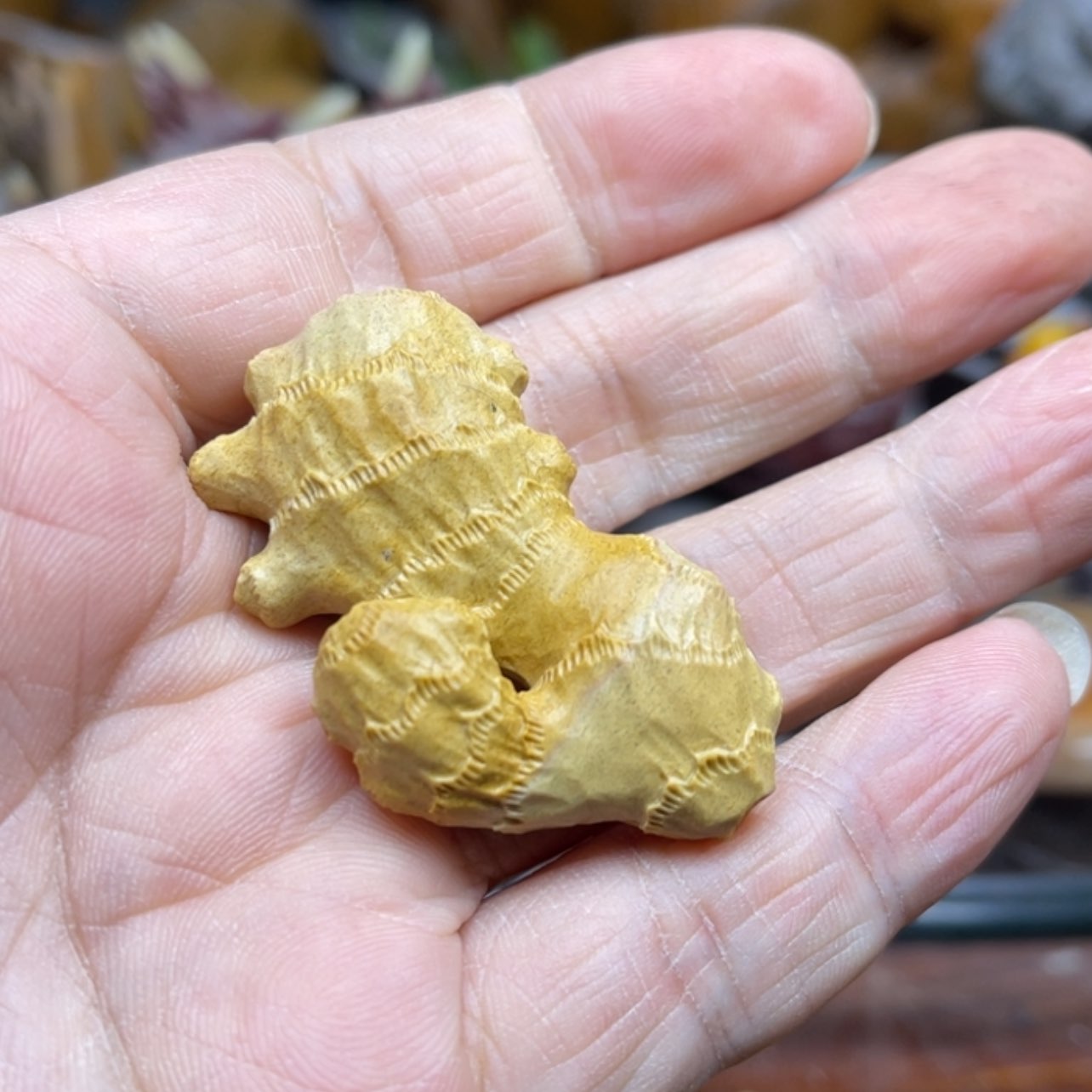 【闪购商品】青田石………………………