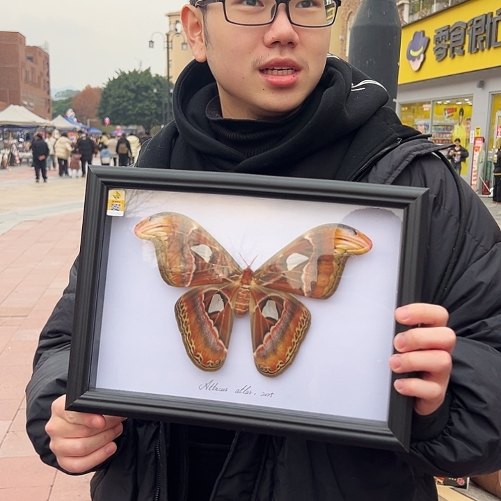 有机玻璃23678998888