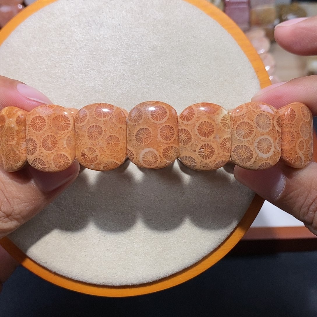 硅化珊瑚（珊瑚玉）手链未镶嵌好看17