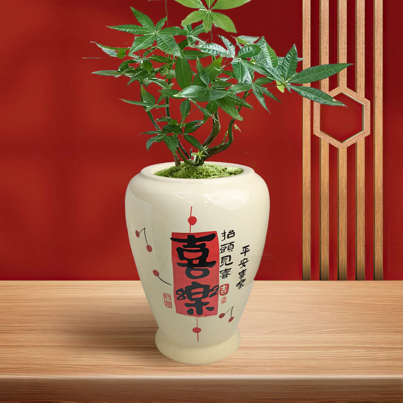 发财树小盆栽室内绿植办公室桌面奶油风无孔(可打孔)