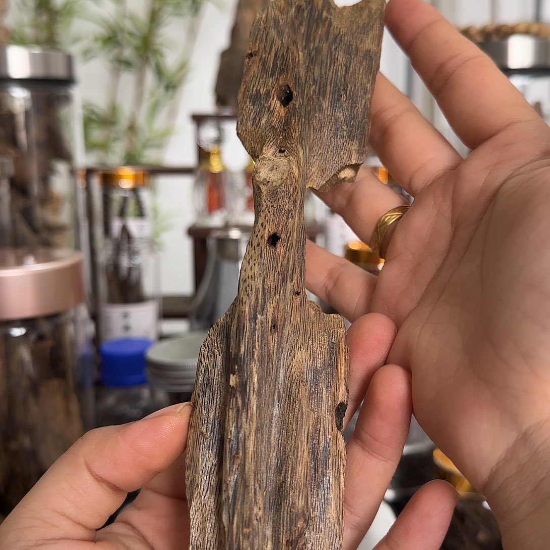 沉香碎屑沉香精品汝湖虫漏50克