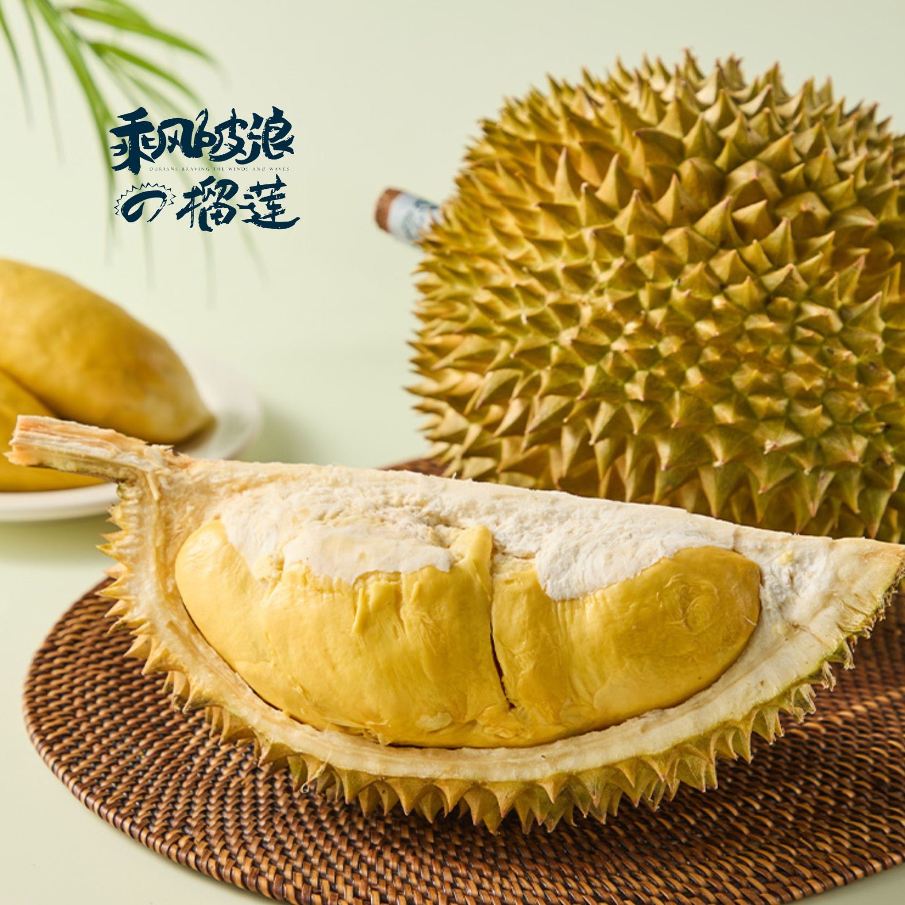 【乘风破浪的榴莲】软金月榴莲泰国新鲜空运到货 一果一重 核大榴莲同城送软金月泰国