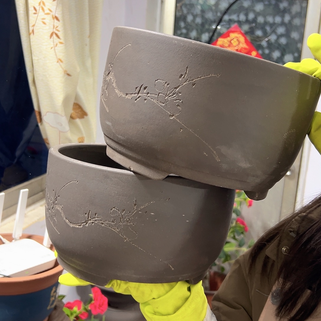 21+21黑泥球盆花盆花盆花盆