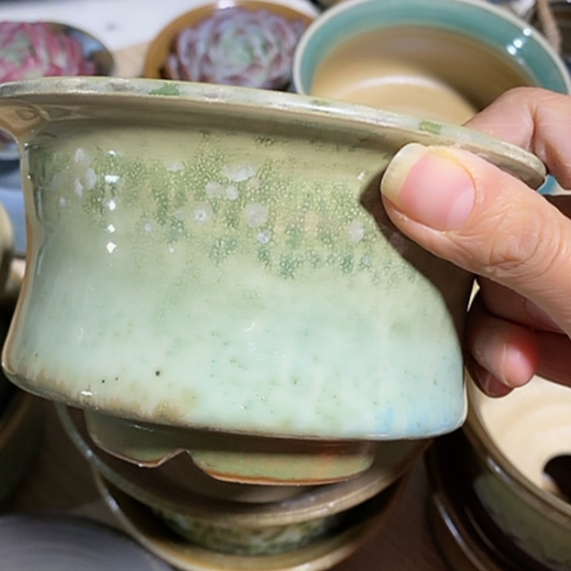 【闪购商品】红陶口11.3