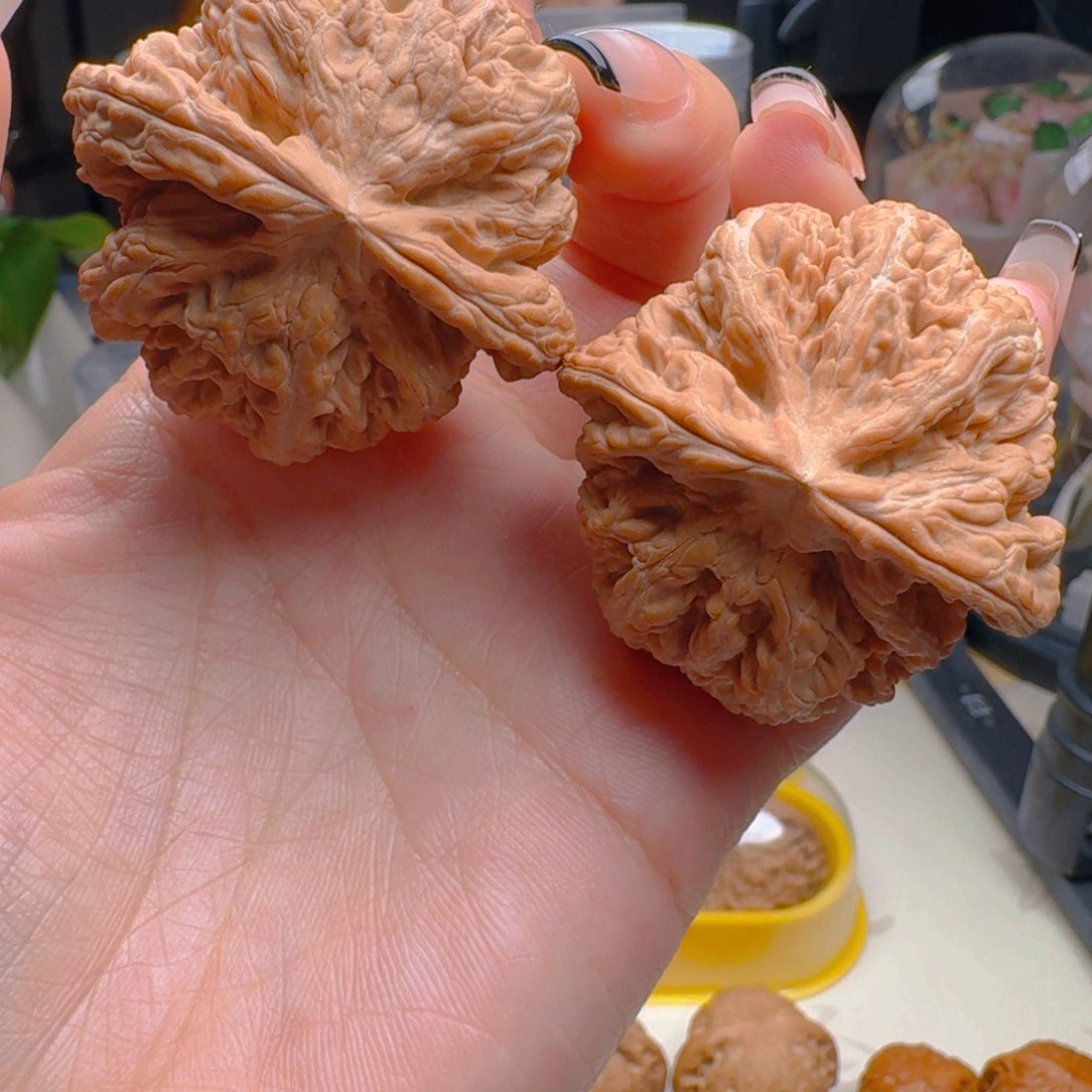 核桃把件46全品大粗筋