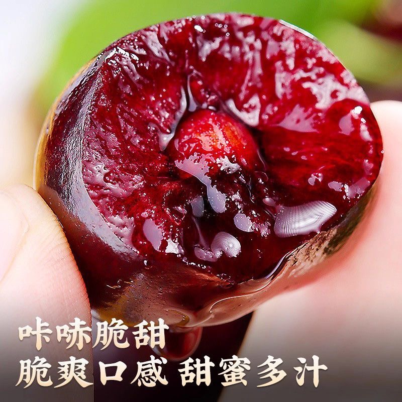 2JDD-3JDD-4JDD特大果【明天到】智利空运车厘子新鲜宝宝孕妇DS1内附果径卡800g桑提娜樱桃桑提娜樱桃