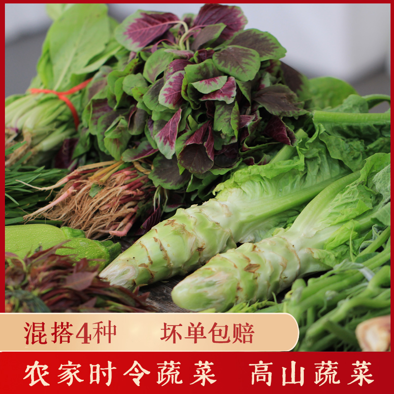 湘西自选20多种蔬菜套餐新鲜蔬菜包农家时令4样蔬菜组合