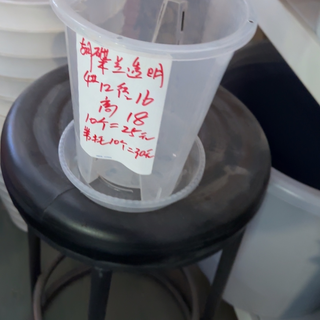 树脂蝴蝶兰4#带拖10套