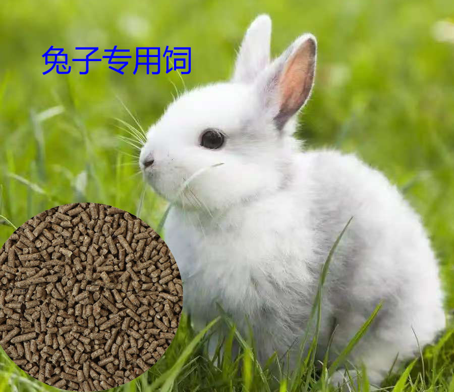 成兔母兔妊娠哺乳期兔粮宠物兔獭兔侏儒兔颗粒饲料兔粮批发80斤