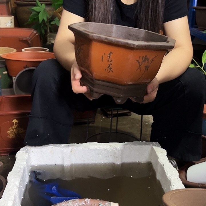 27红八方花盆花盆花盆花盆