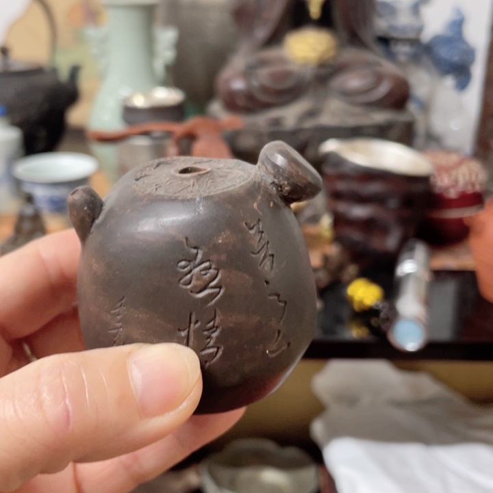 紫砂不一定逆风翻盘，但请一定向阳而生