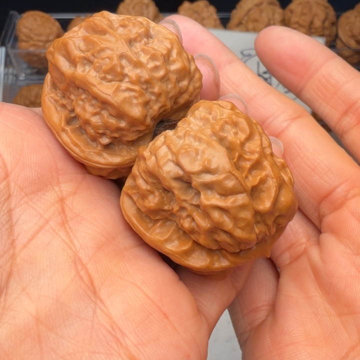 核桃小返油，不接受差评品退，不换不退