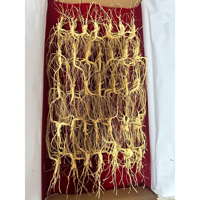 长白山林下参籽参 高年份十二年 泡茶泡酒煲汤 送人送礼