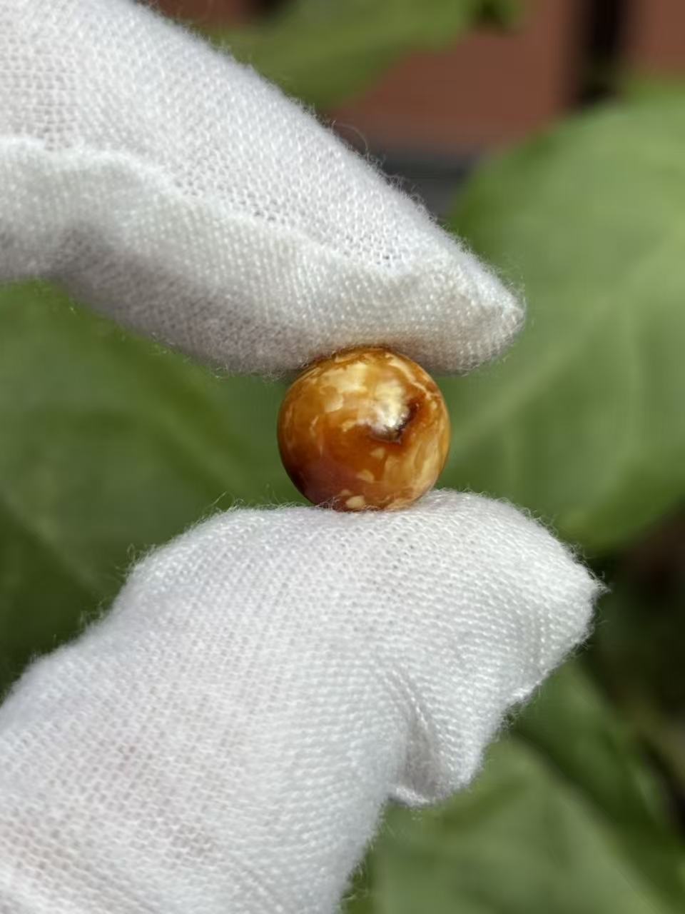 1993天然蜜蜡琥珀沁色花蜡圆珠10.3mm