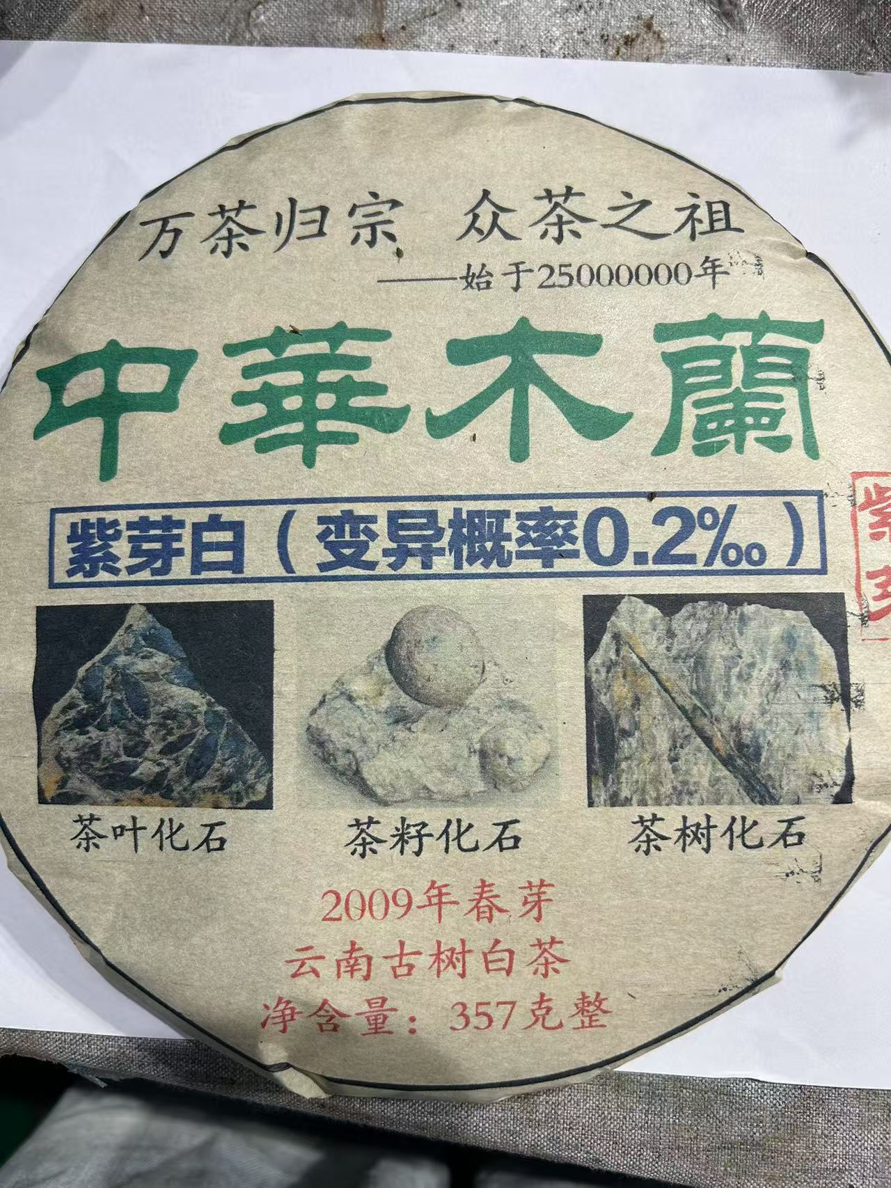 普洱茶  中华木兰 7月6日  白茶  饼茶