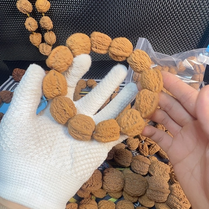 来***福高炮28姐姐姐姐姐姐了