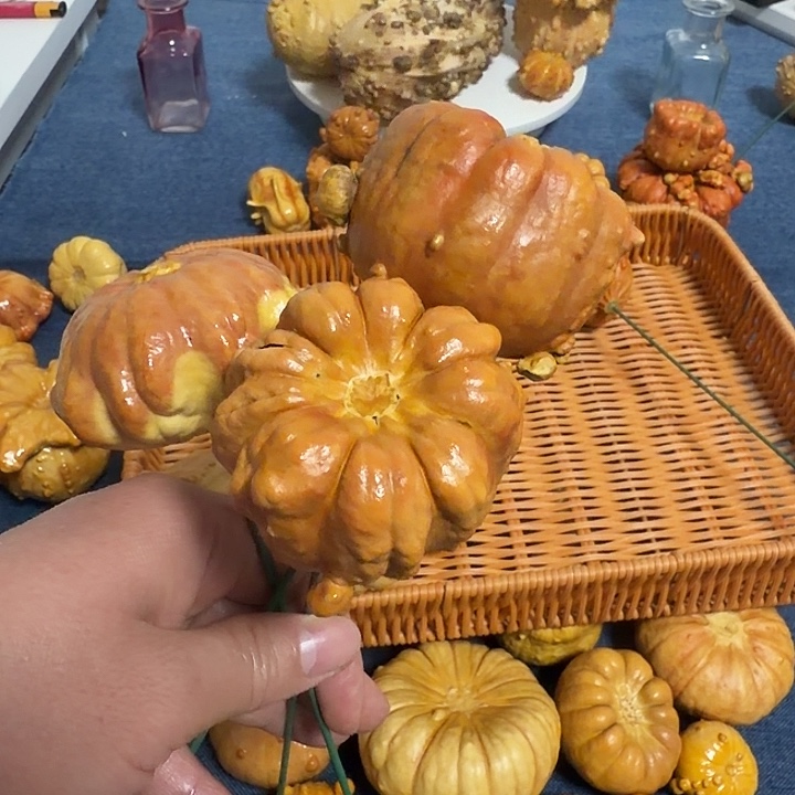 紫***鈺墨西哥七彩疙瘩葫芦瑕疵不退货