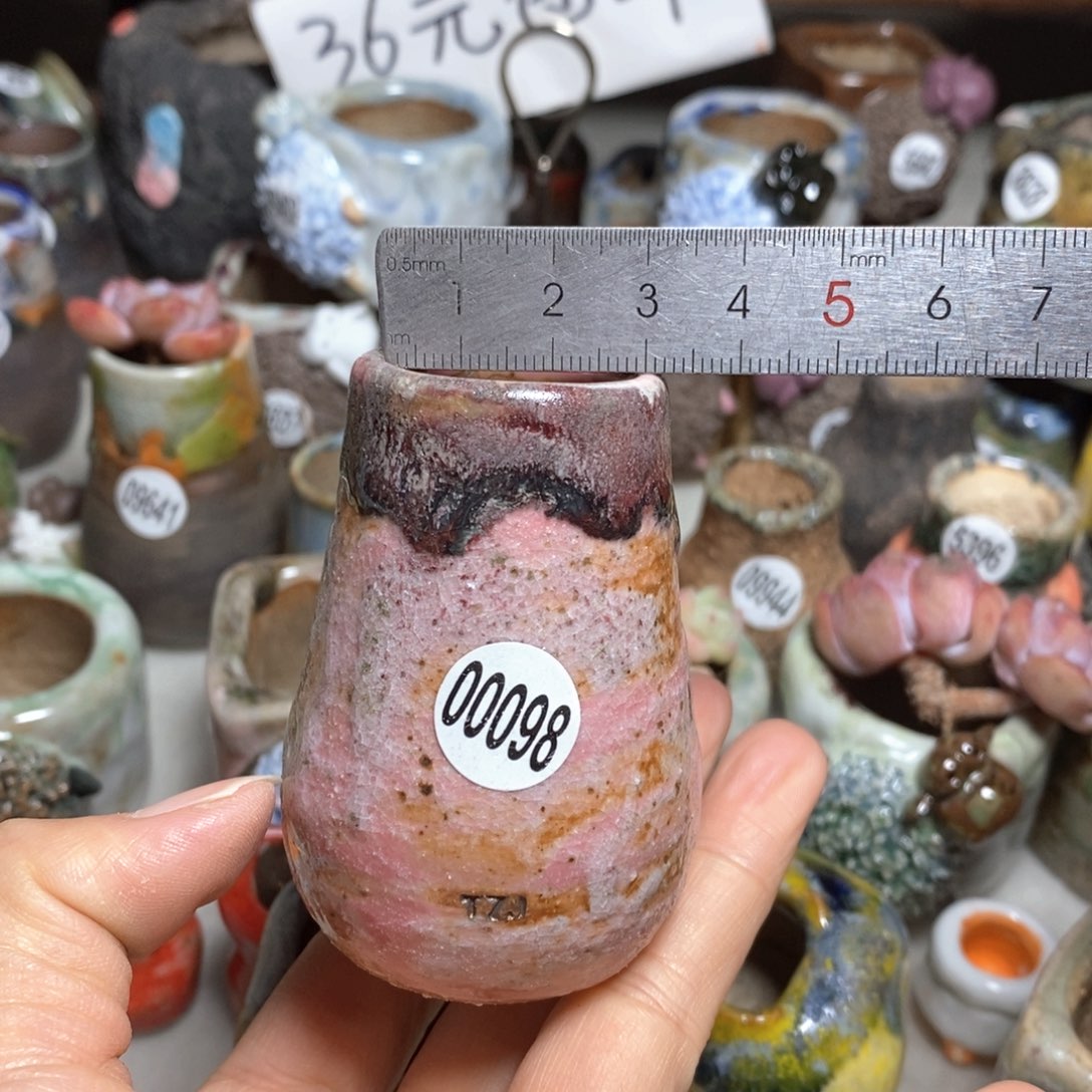 拍5送一个小礼物