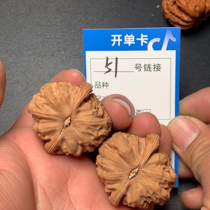 文玩核桃把件37白狮子51