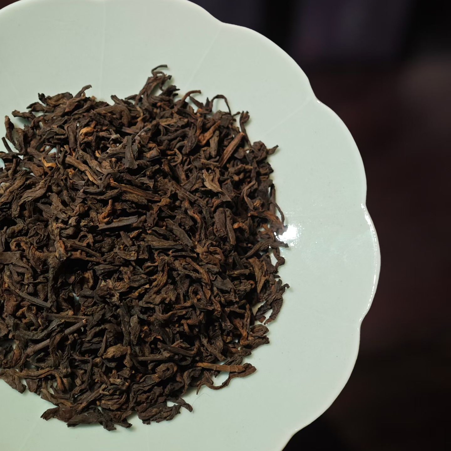 2008年广西梧州花香六堡茶醇香