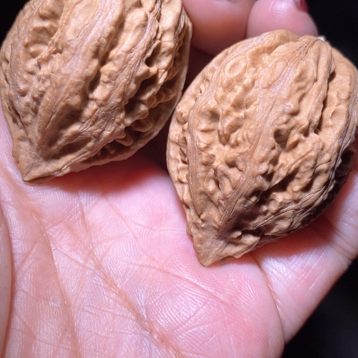 文玩核桃把件东北野生楸子小美22