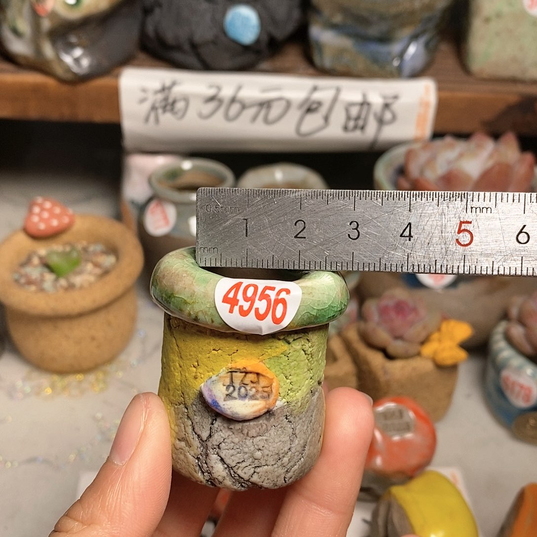 红陶拍5送一个小