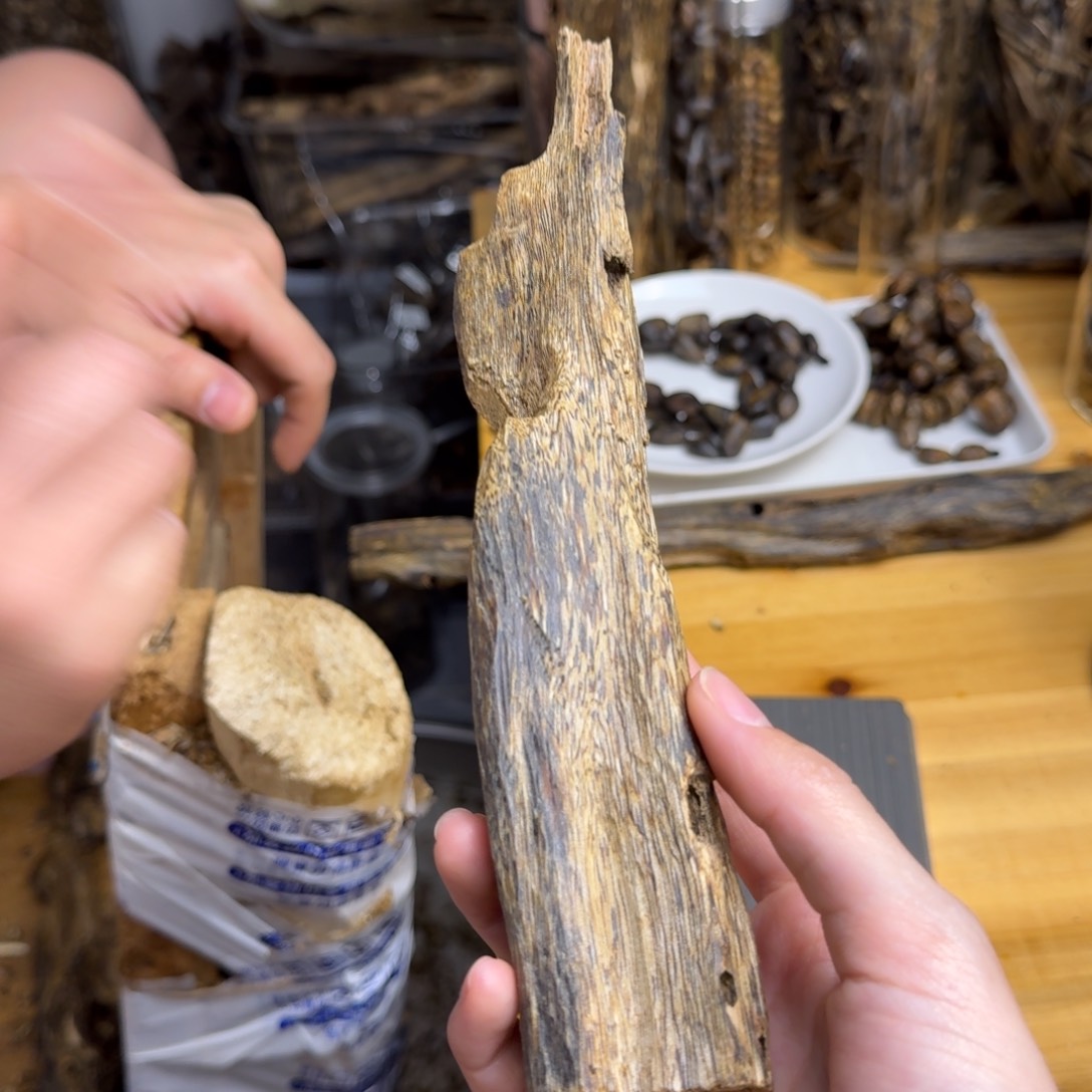 沉香沉香碎屑白棋块料38克