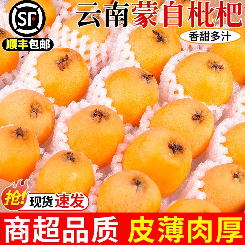 顺丰云南蒙自甜枇杷新鲜水果当季长虹琵琶枇杷皮薄现摘树上熟整箱