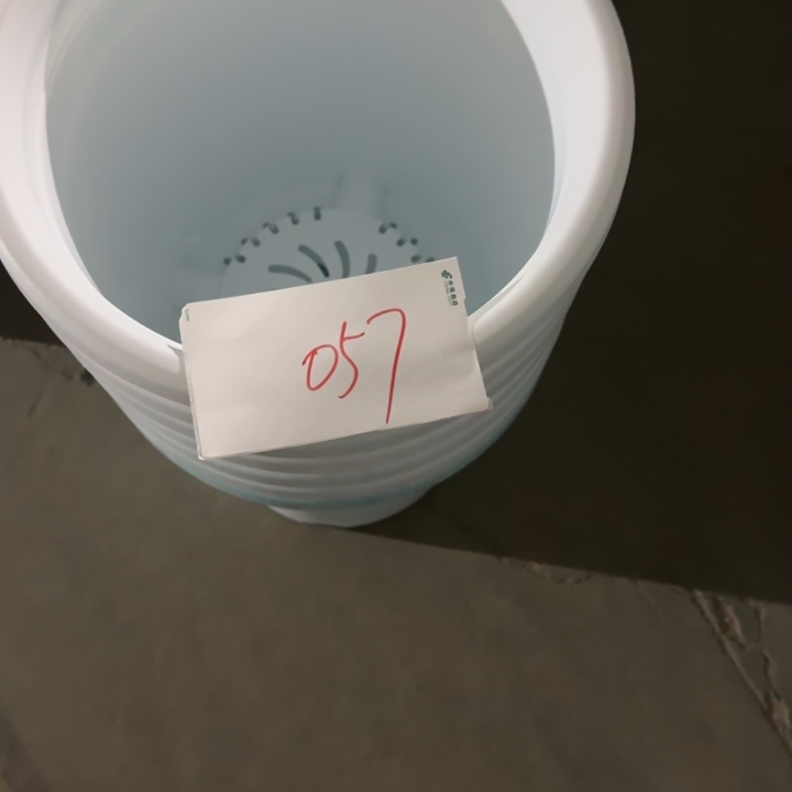 编号是057号的057号的