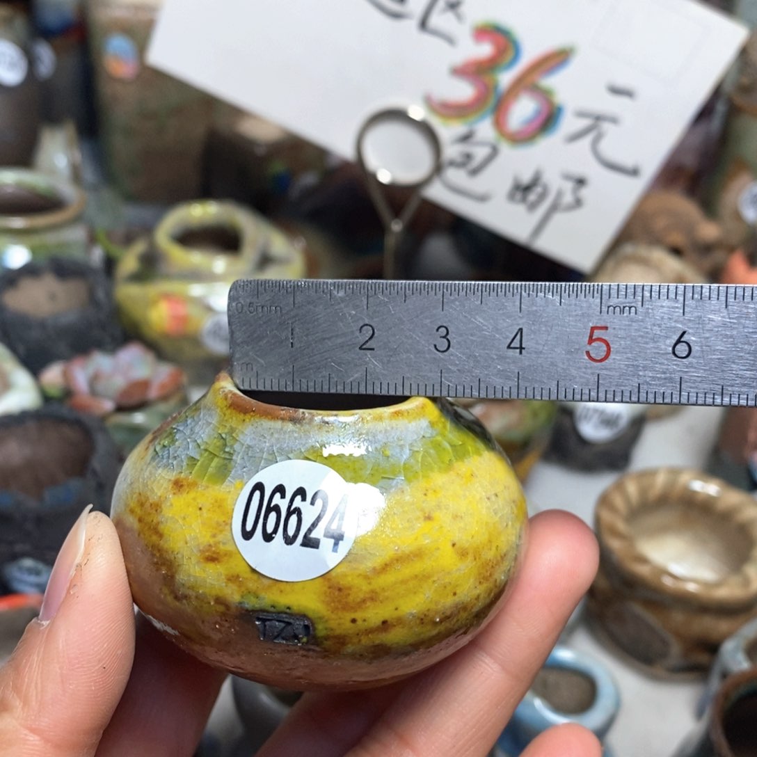 花盆拍3送一个小礼物