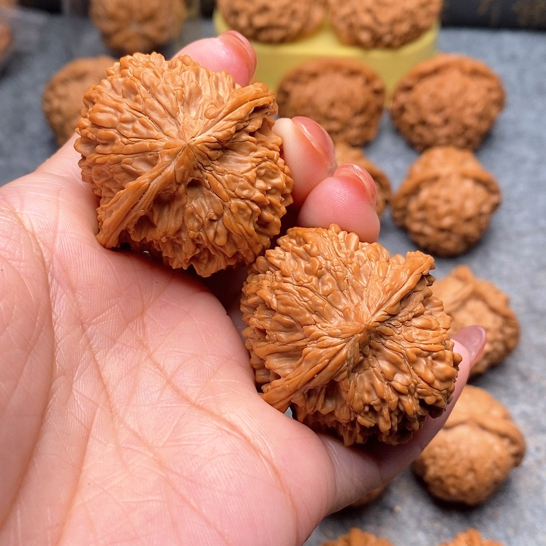 文玩核桃把件暴****头精品满天星42全品