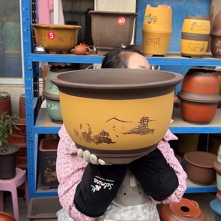 003花盆花盆花盆花盆花盆