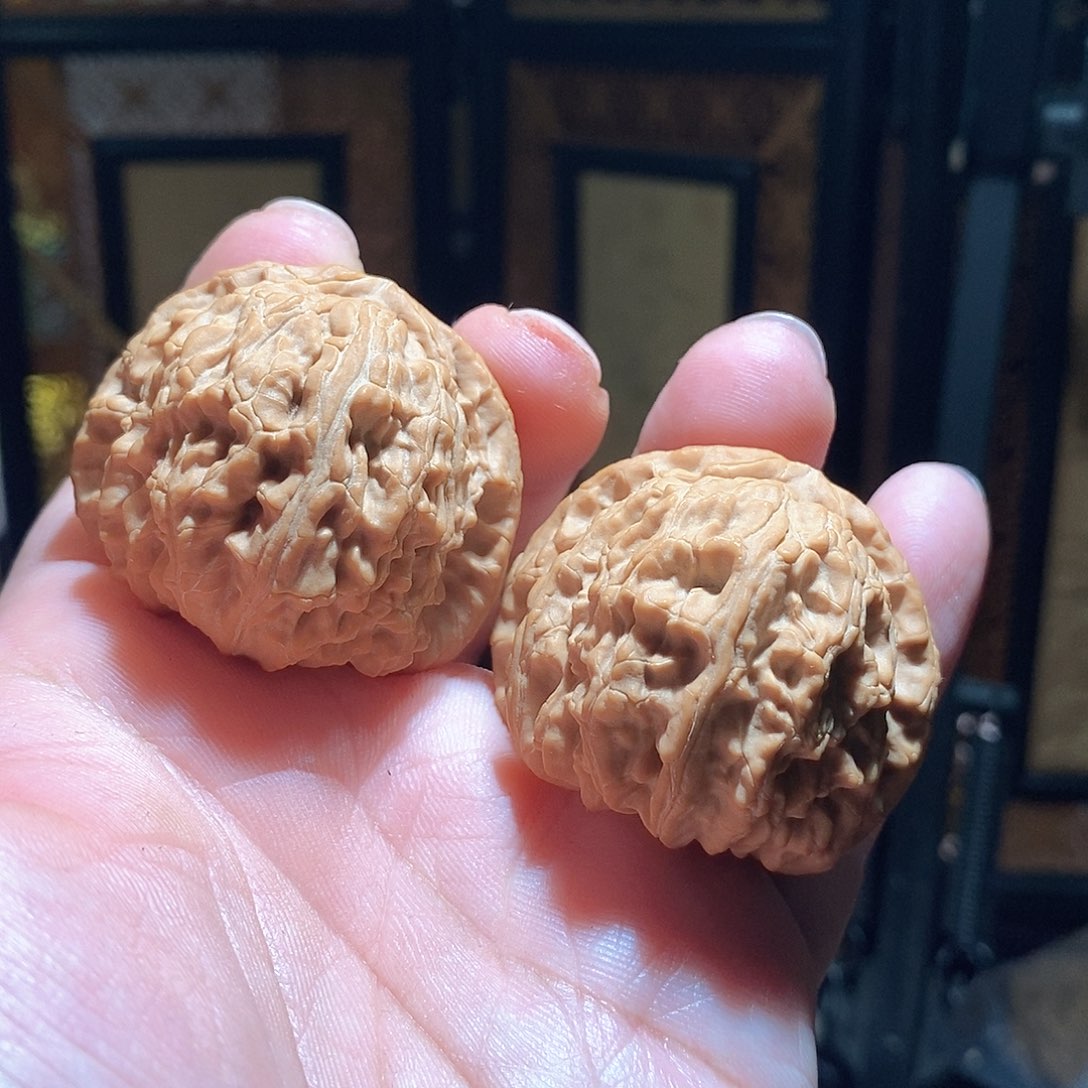 文玩核桃把件42白狮子全品