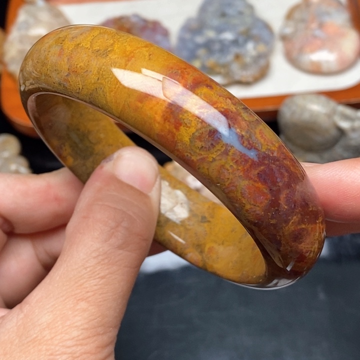 硅化珊瑚（珊瑚玉）颈饰未镶嵌61.5