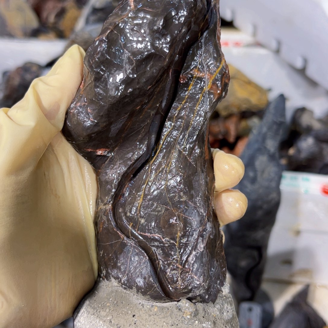 家*附石盆景一物一拍